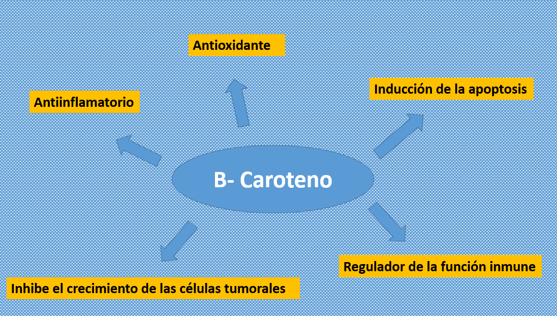 Alimentación y Cáncer: B- Carotenos