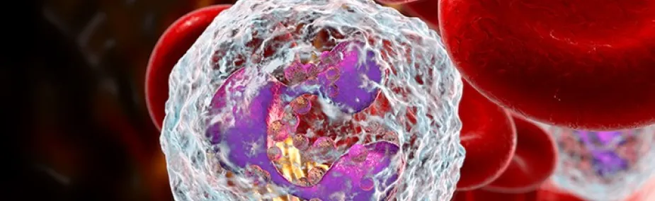 Tratamiento natural para Leucemia