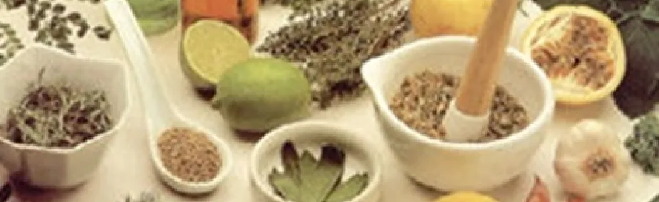 Fitoterapia china