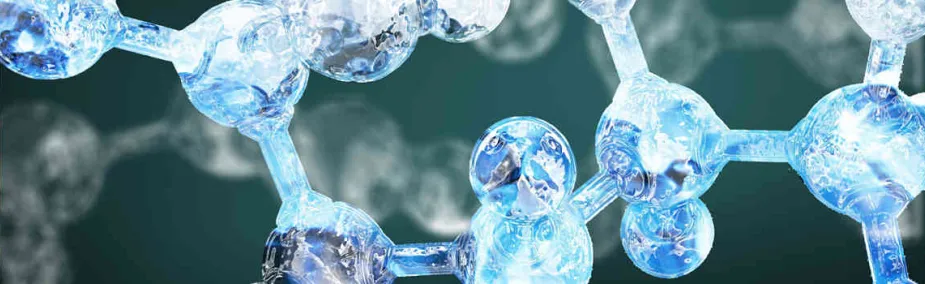 Cáncer y Nutrición ortomolecular