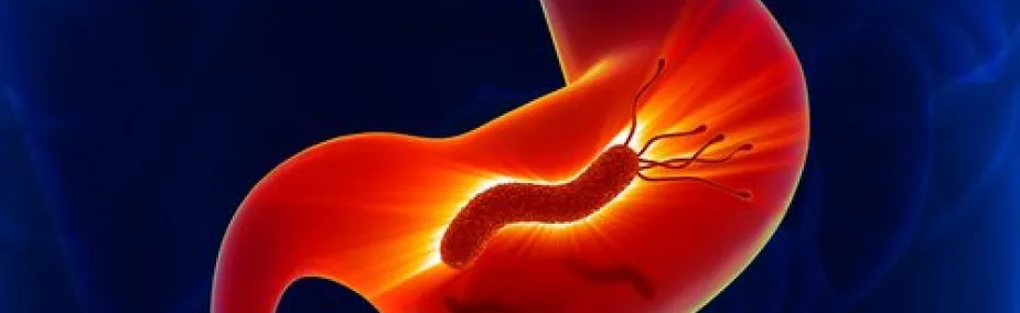 Tratamiento natural del Helicobacter Pylori