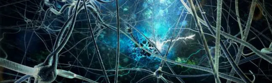 Psiconeuroinmunologia y Cáncer